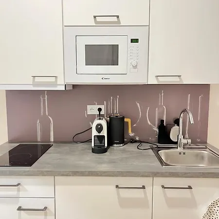 Appartement Helen New Chain Florenc *